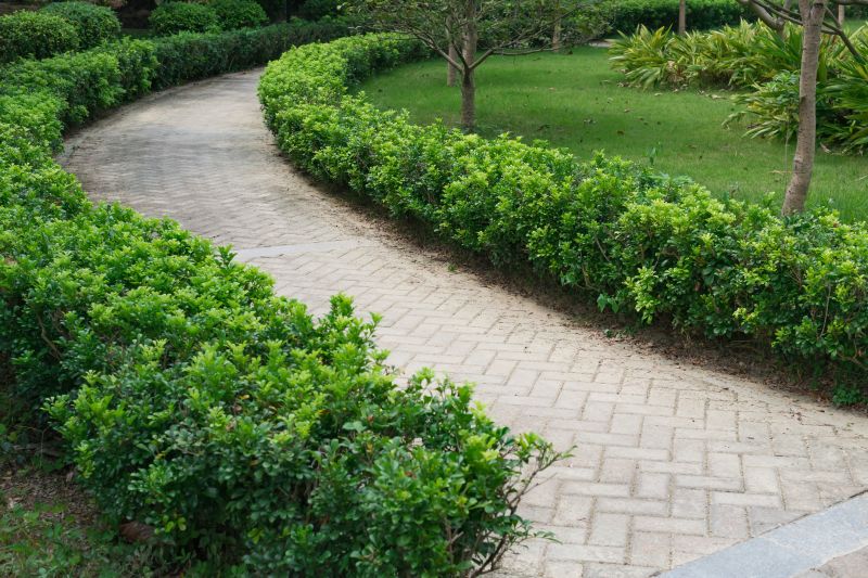 Custom Paver Pathway